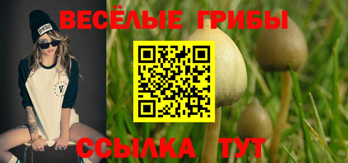 Галлюциногенные грибы мицелий  Вход с VPN  Еманжелинск  Галлюциногенные грибы Magic Shrooms 